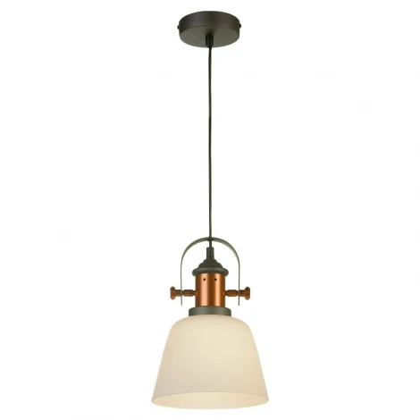 Подвесной светильник Lussole Loft Binghamton GRLSP-9846