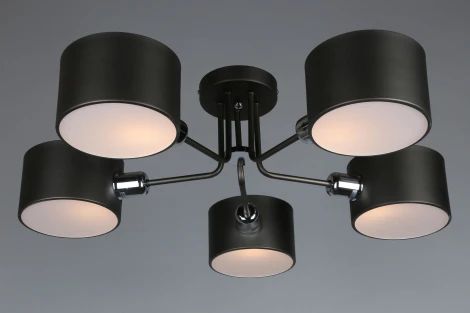 Потолочная люстра Omnilux Liser OML-54507-05 (220V)