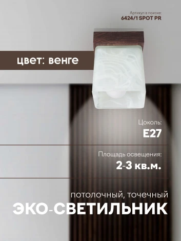 Потолочный светильник прямоугольный Мелодия Света SS1N 000036814