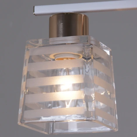 Потолочная люстра на штанге Reluce 09260-0.3-04 WH+FG