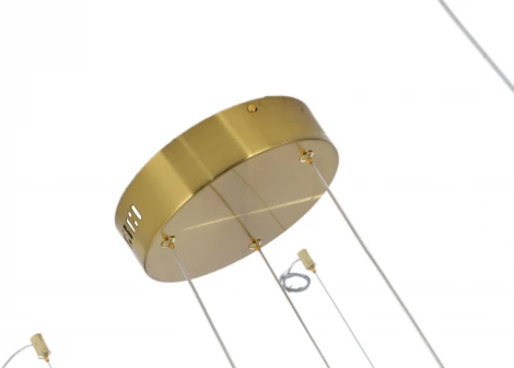 Подвесной светильник Zortes Lidia ZRS.30110.114 (LED, 220V, пульт управления, на тросе)