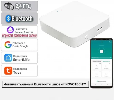 Шлюз Tuya Smart Life Novotech Glat 359392 IP20 KONST