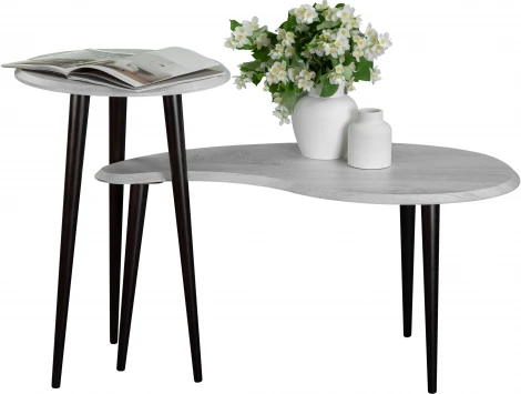 Стол журнальный BeautyStyle 2 дуб дымчатый/венге от фабрики Mebelik