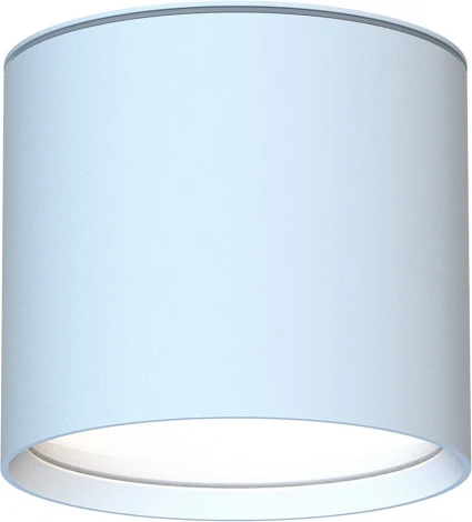 Потолочный светильник уличный Favourite Fantum 4664-1U (220V, круглые, IP54)