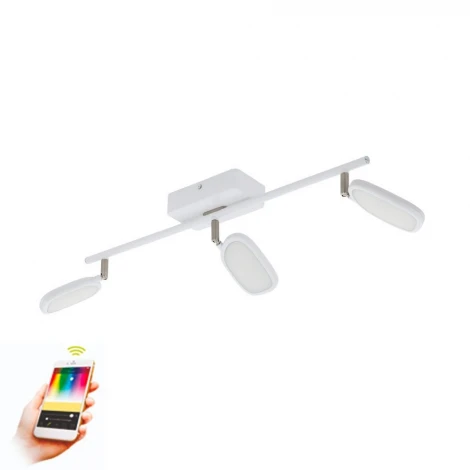 Спот Eglo Palombare-C 97693