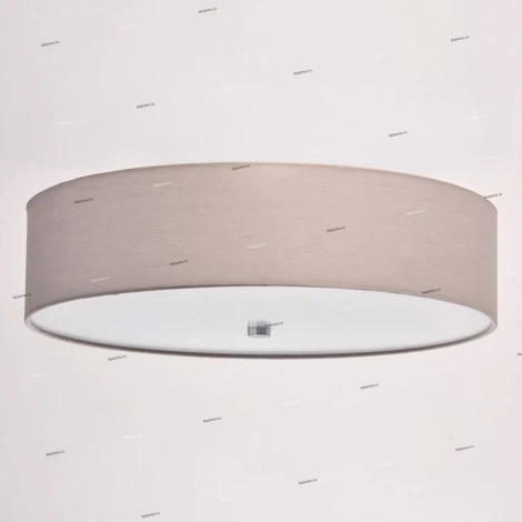 Потолочный светильник MW-Light Дафна 453011501
