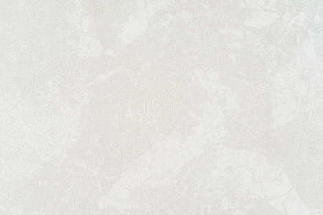 Обои виниловые Артекс Nature 10375-01 10,05 x 1,06 м