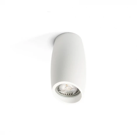 Накладной светильник White RAUMBERG FlexWh (220V, круглые)