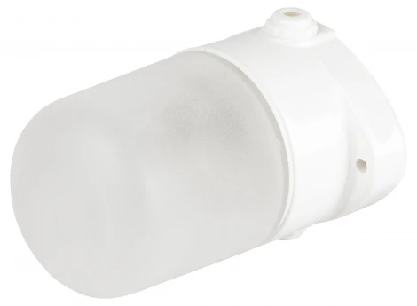 Настенный светильник влагозащищенный ЭРА НББ 02 НББ 02-60-001