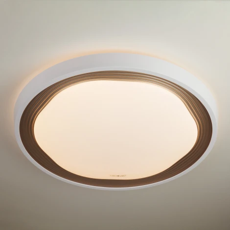 Потолочная люстра Eurosvet Range 40006/1 LED кофе