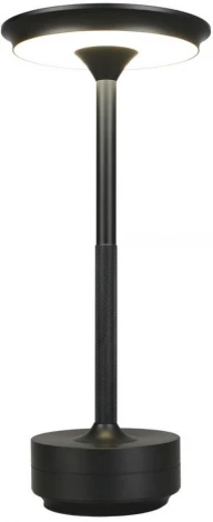 Настольная лампа светодиодная Aployt Markel APL.064.24.05 (220V)