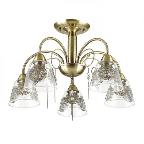 Потолочная люстра Lumion Hortensa 3289/5C