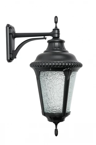 Настенный фонарь уличный Oasis Light 79752М Bl (220V, IP44)