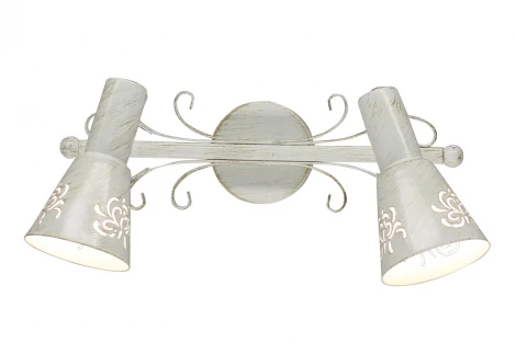 Спот Citilux Дункан CL529522