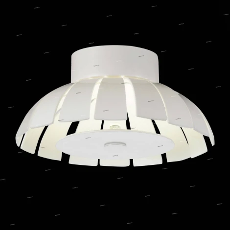 Потолочный светильник уличный ST Luce Corto SL559.503.01