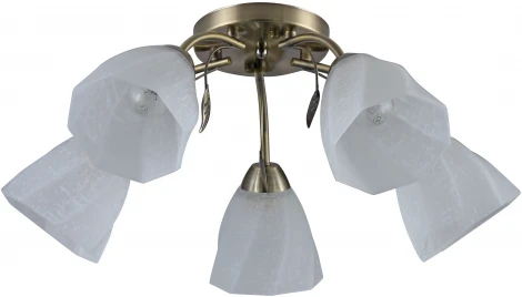 Потолочная люстра Ritter Monza 52540 0