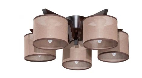 Потолочная люстра Дубравия Карина 191-53-25