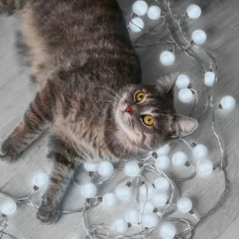 Гирлянда Gauss Solar GS033