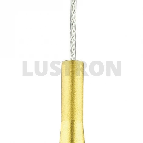 Подвесной светильник N-Light 107 107-01-36G gold brushed