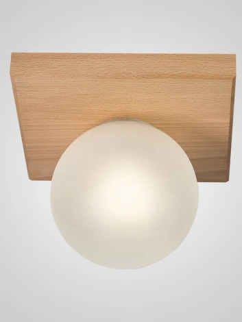 Потолочный светильник Мелодия Света SS1N 6426N-1 NL 000067477