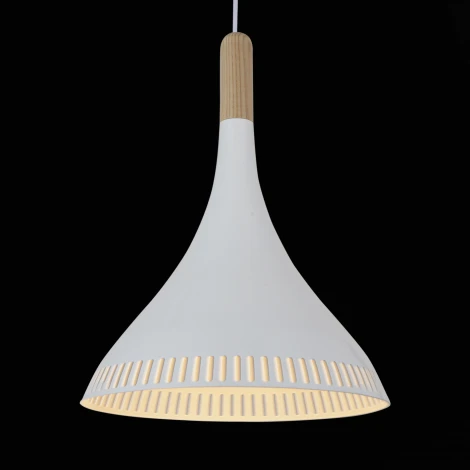 Подвесной светильник ST Luce Agilita SL710.503.01