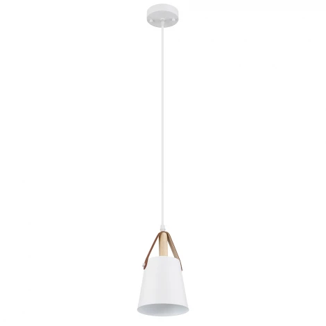 Подвесной светильник Arte Lamp Thomas A7032SP-1WH (220V, на проводе)