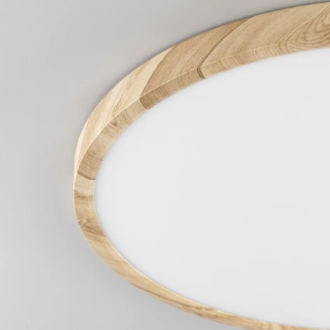 Настенно-потолочный светильник Citilux Бейсик CL738322V (регулировка яркости, LED, 220V, круглые, IP40)