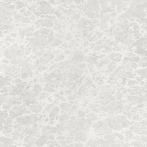 Обои виниловые Zambaiti Trussardi 2 5563 10,05 x 0,7 м