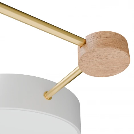 Потолочный светильник светодиодный круглый Lightera Tizzo LE239PL-3WG