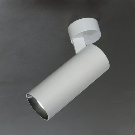 Спот Citilux Тубус CL01B120N (LED, 220V, круглые)