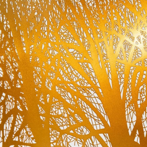 Подвесной светильник Arte Lamp Celesta A2769SP-1BK (220V, на проводе, круглые, природа)