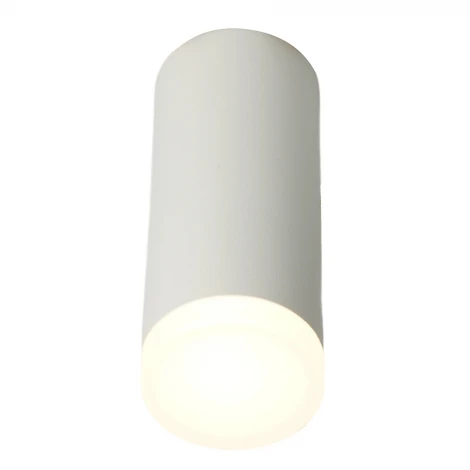 Светильник потолочный накладной Feron ML102 51389