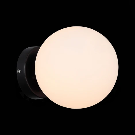 Настенно-потолочный светильник ST Luce Acini SL717.401.01