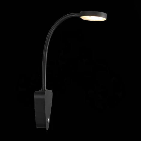 Настенный светильник ST Luce Siegen SL607.401.01