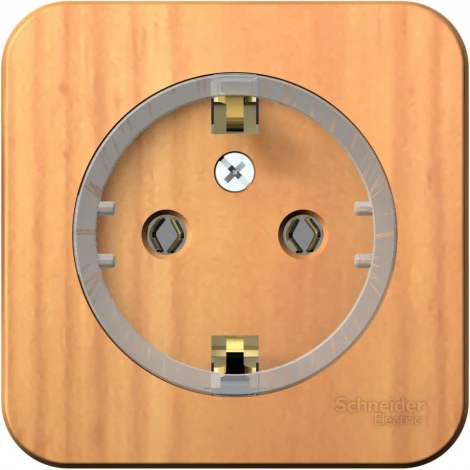 Розетка накладная с заземлением (ясень) Systeme Electric Blanca BLNRA110115