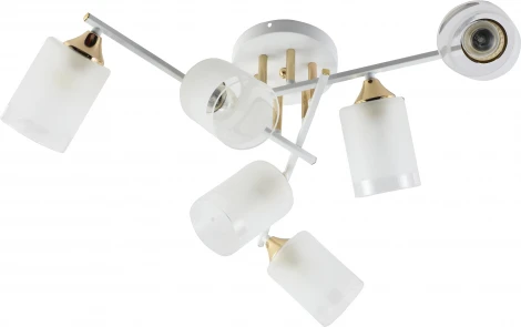 Потолочная люстра на штанге Rivoli Georgiana 9144-205 (220V)