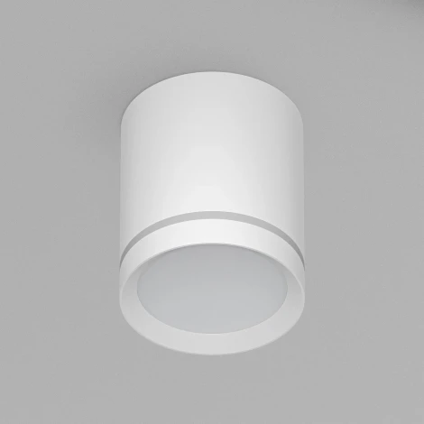 Накладной точечный светильник Denkirs DK4016 DK4013-WH (LED, 220V, круглые)