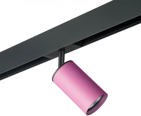 Трековый светильник однофазный 220V Lightstar Rullo PRO432 (круглые)