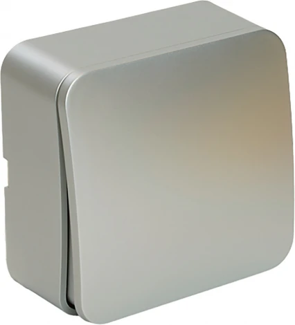 Выключатель одноклавишный (серебро) Stekker София 49295