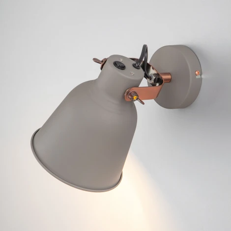 Спот Eurosvet Projector 70079/1 серый