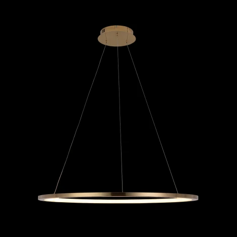 Подвесной светильник Loft IT Ring 10014L (LED, 220V, на тросе, кольцо)