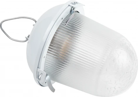 Подвесной светильник ЭРА НСП 02-100-001 (220V, IP54)