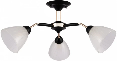 Потолочная люстра на штанге Arte Milano Napoli 324108/3 BK+FG (220V)