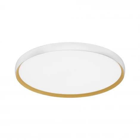 Потолочный светильник Evoluce Helst SLE1810-502-01 Белый, золотистый/белая LED 1*42W 4000K