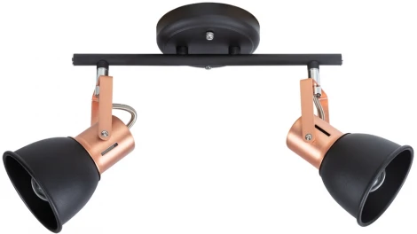 Спот Arte Lamp Jovi A1677PL-2BK