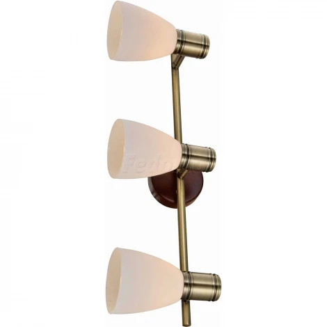 Спот Toplight Sharyl TL3720Y-03BB