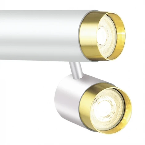 Спот Lumien Hall Sauris LH8020/2C-WT-GD