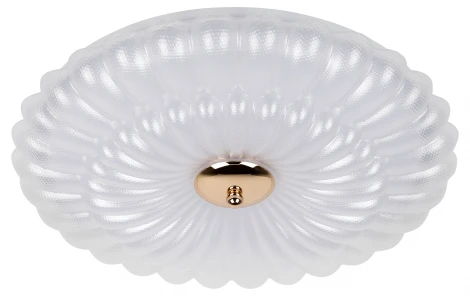 Потолочный светильник светодиодный ЭРА SPB-6 Chester 48W-5K WH+GD