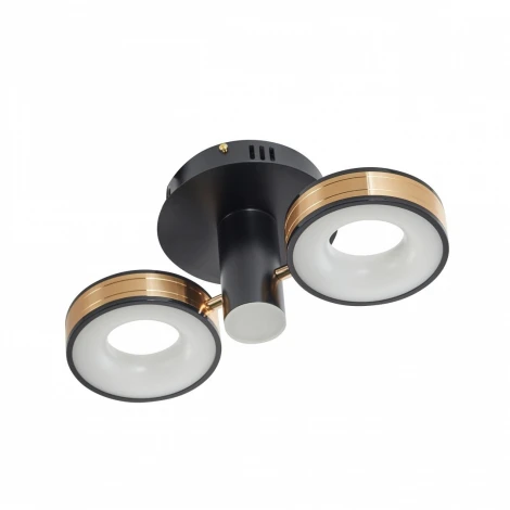 Потолочный светильник круглый Arte Milano 271040/2R BK/GD (LED, 220V)