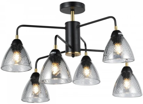 Потолочная люстра Imex MD.74318-6-S-BK+BR